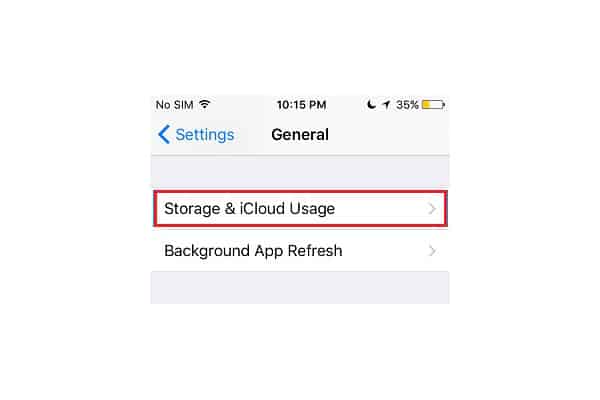 Storage and icloud usage tab